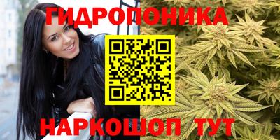 spice Бузулук